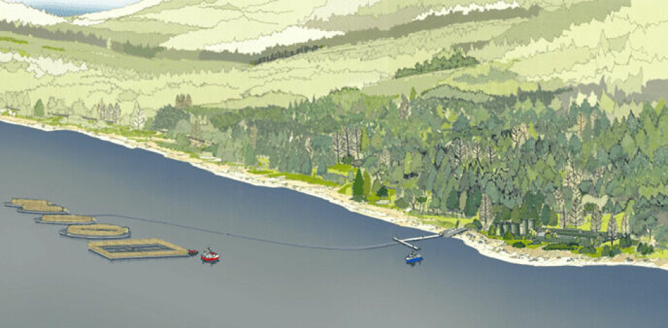 An illustration of the proposed salmon farm.