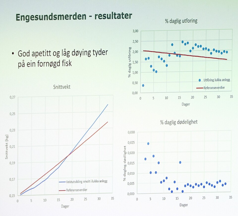 Clockwise from bottom left: growth, feeding and mortality after 35 days in the Engesund cage. Click to enlarge. Source: Engesund.