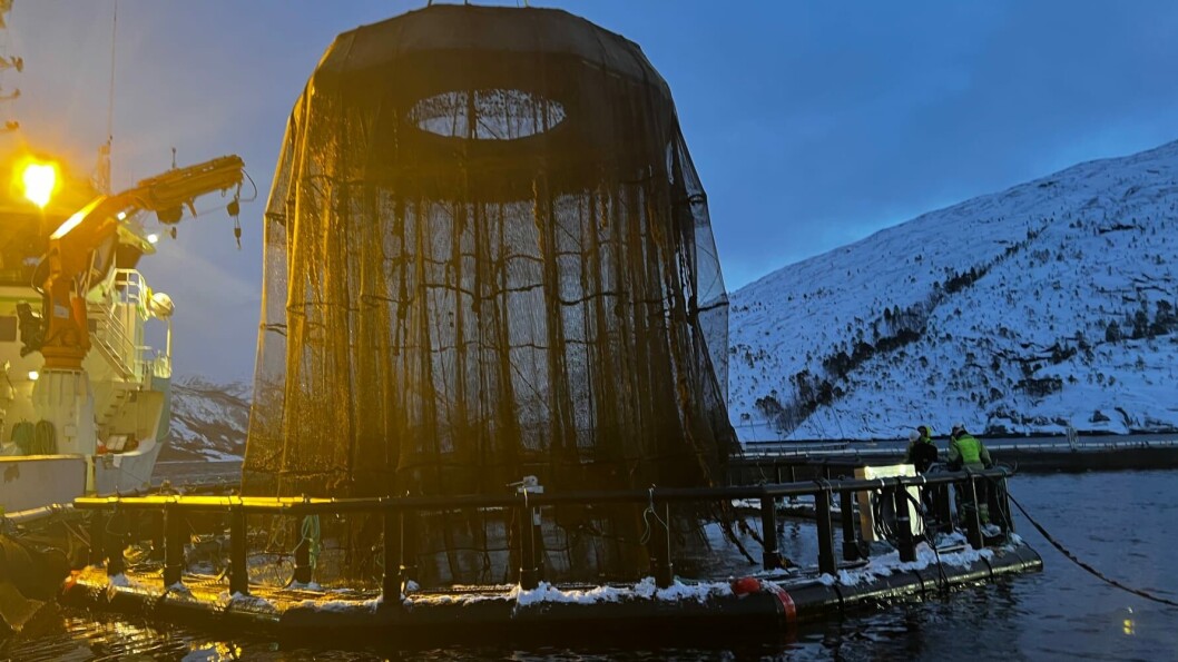 Preparation of an iFarm cage at Martnesvika in connection with harvesting. Photo: Cermaq. Preparation of an iFarm cage at Martnesvika in connection with harvesting. Photo: Cermaq.