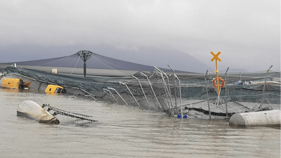 A damaged salmon farm in Chile. Photo: Directmar.
