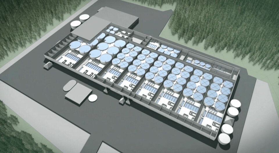 Sketch of the upcoming land-based facility for Premium Svensk Lax. Illustration: PSL.