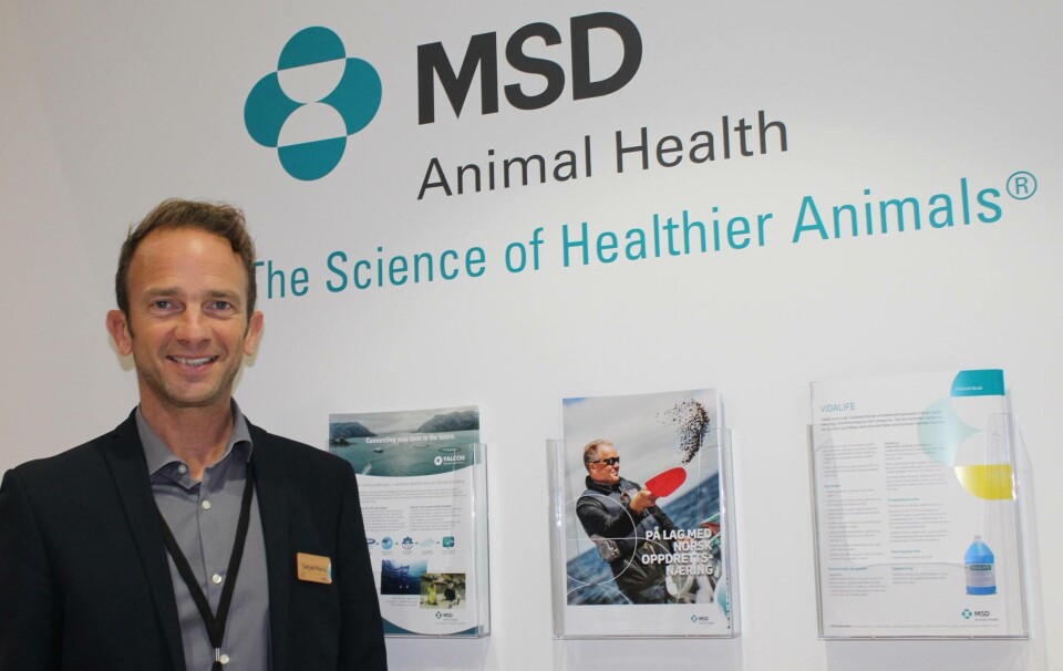 Dafydd Morris: 'Falcon builds upon the breadth of biopharmaceutical and technology solutions within MSD Animal Health’s aqua health portfolio.'