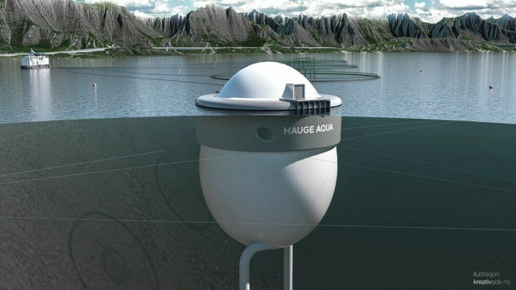 Fish are expected to be placed in a prototype of the Egg next year. Image: Kreativside/Hauge Aqua