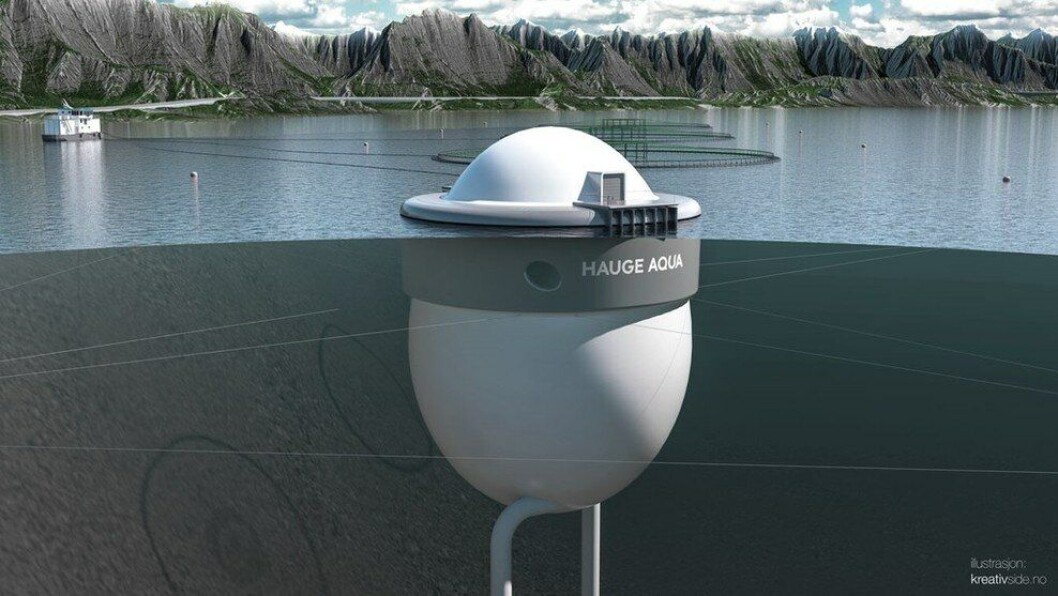 Fish are expected to be placed in a prototype of the Egg next year. Image: Kreativside/Hauge Aqua Fish are expected to be placed in a prototype of the Egg next year. Image: Kreativside/Hauge Aqua
