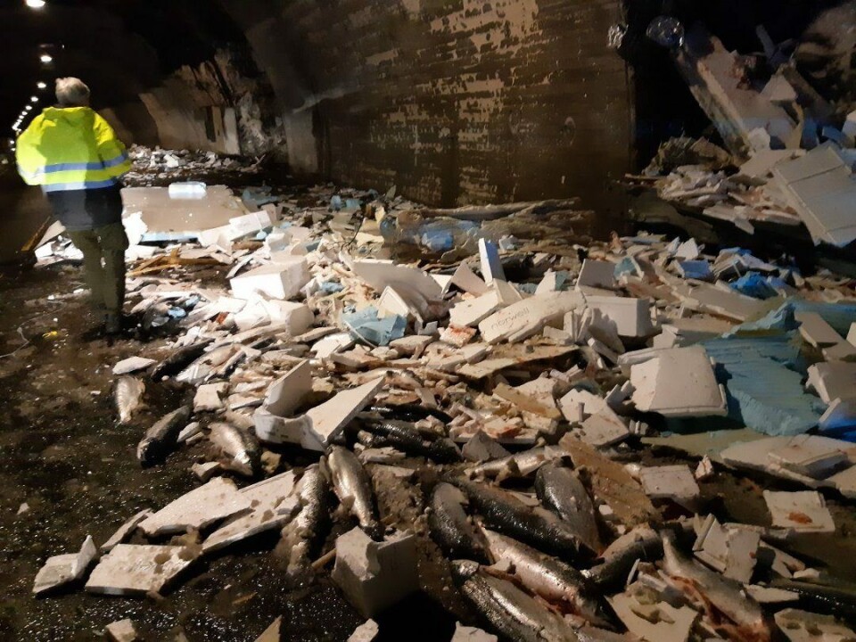 Salmon and smashed polystyrene boxes litter the road after a lorry hit the tunnel wall. Photo: Voss fire service.