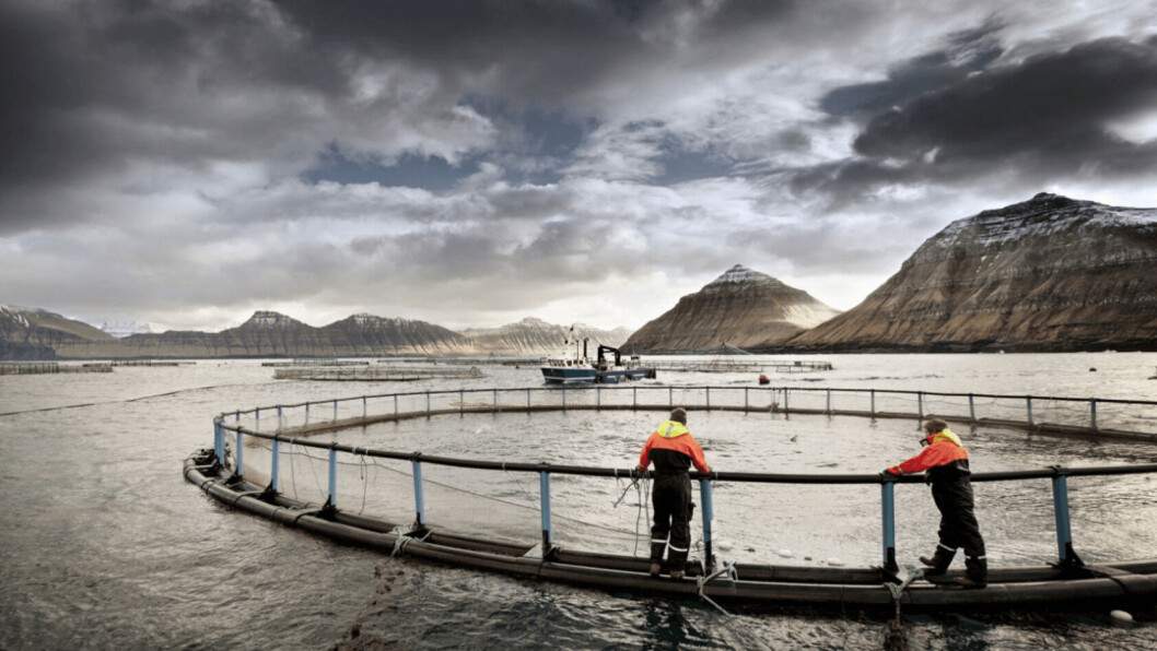 Bakkafrost has stressed the need to secure a continued high level of production. File photo: Bakkafrost. Bakkafrost has stressed the need to secure a continued high level of production. File photo: Bakkafrost.
