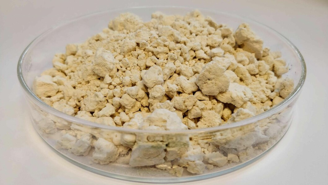 EniferBio produces a mycoprotein using a method which fell out of use when pulp production methods changed. Photo: EniferBio.
