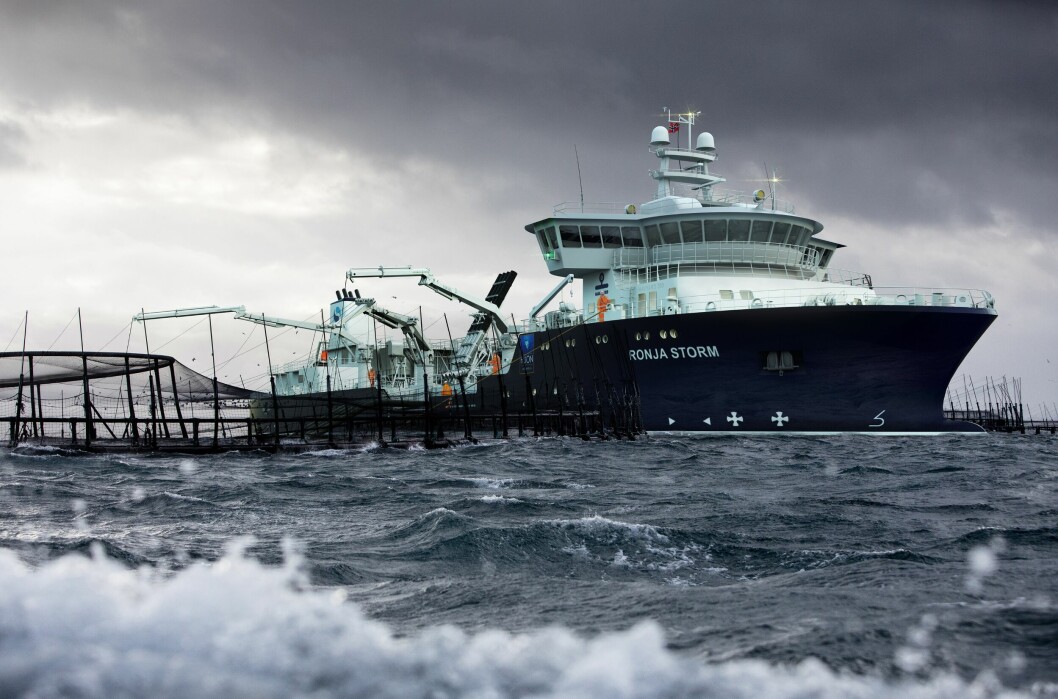 The world's largest wellboat, the Ronja Storm, will go for the Tasmanian aquaculture company Huon Aquaculture Group. The picture of the cages is real and taken from the relevant sites in Storm Bay, where the boat will operate. The boat is drawn in. Photomontage: Havyard.