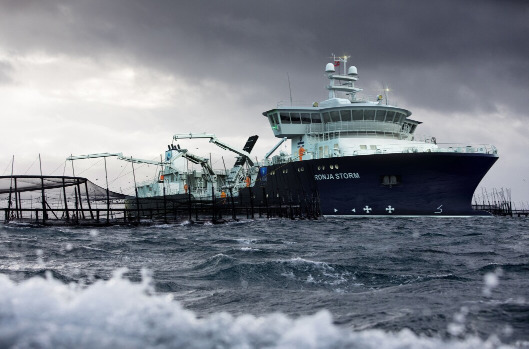 The world's largest wellboat, the Ronja Storm, will go for the Tasmanian aquaculture company Huon Aquaculture Group. The picture of the cages is real and taken from the relevant sites in Storm Bay, where the boat will operate. The boat is drawn in. Photomontage: Havyard. The world's largest wellboat, the Ronja Storm, will go for the Tasmanian aquaculture company Huon Aquaculture Group. The picture of the cages is real and taken from the relevant sites in Storm Bay, where the boat will operate. The boat is drawn in. Photomontage: Havyard.