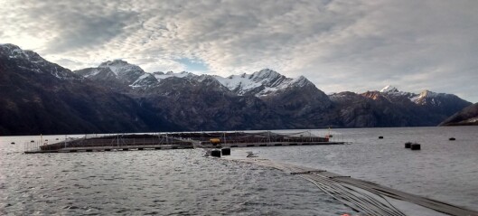 Three accused following death of Chilean salmon farm diver