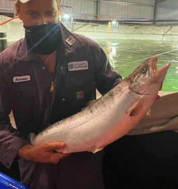 Atlantic Sapphire chairman Johan Andreassen with a harvest-size fish. Customer supply will be unaffected by the latest incident.