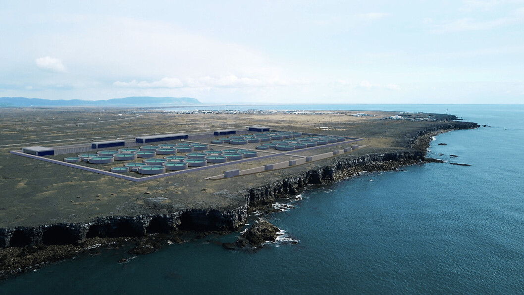 An illustration of Landeldi's planned salmon farm, under construction in Iceland. An illustration of Landeldi's planned salmon farm, under construction in Iceland.