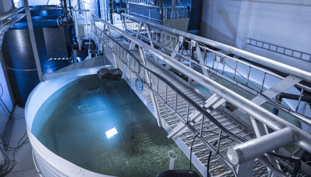 AKVA announces contracts for two post-smolt RAS