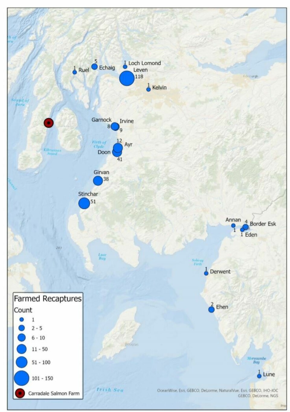 Locations of farmed salmon captures validated by scale reading only. FMS believes at least 3,000 escaped fish reached rivers in Scotland and north west England. Click on image to enlarge. Map: FMS report.