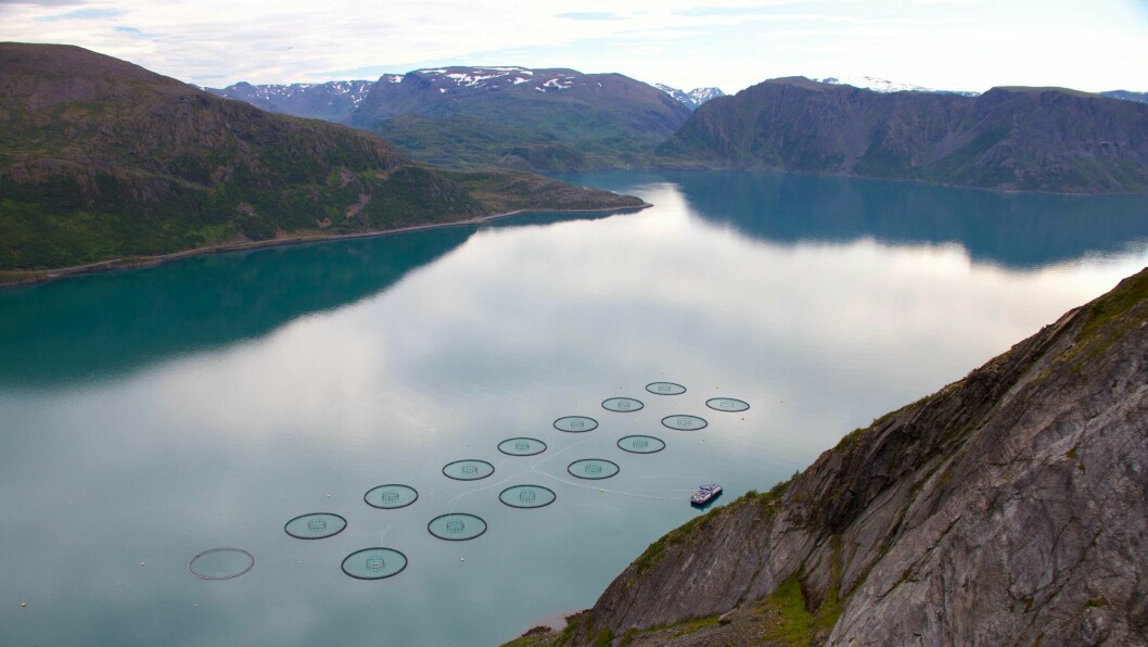 A Grieg Seafood farm in Finnmark, Norway. Photo: Grieg.
