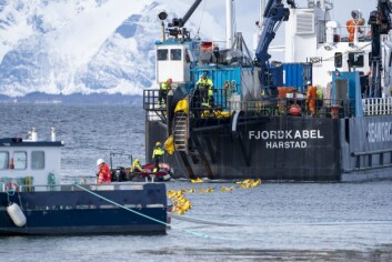 The cable is laid from land on Hadelsøya and out to the site where the Havfarm will be moored. Click on image to enlarge. Photo: Kolbjørn Hoseth Larssen. The cable is laid from land on Hadelsøya and out to the site where the Havfarm will be moored. Click on image to enlarge. Photo: Kolbjørn Hoseth Larssen.