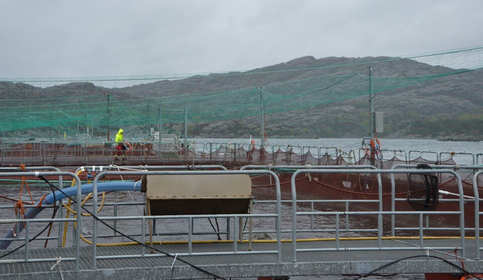 A Sulefisk fish farm.