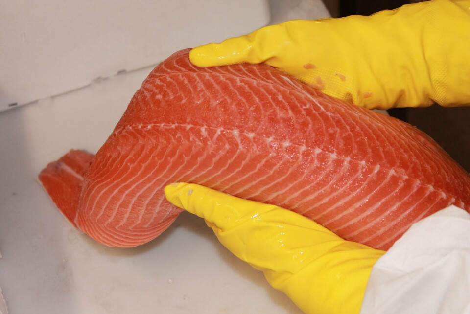 A Sub Chilled salmon fillet. Image: Skaginn 3X.