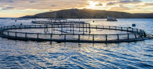 Attack on fish farming ‘wrong and misleading’