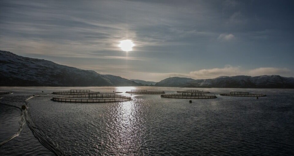 A Russian Aquaculture salmon farm in the Murmansk area. The company sold 18,000 tonnes of salmon and trout products in the first nine months of 2021. Photo: Russian Aquaculture.