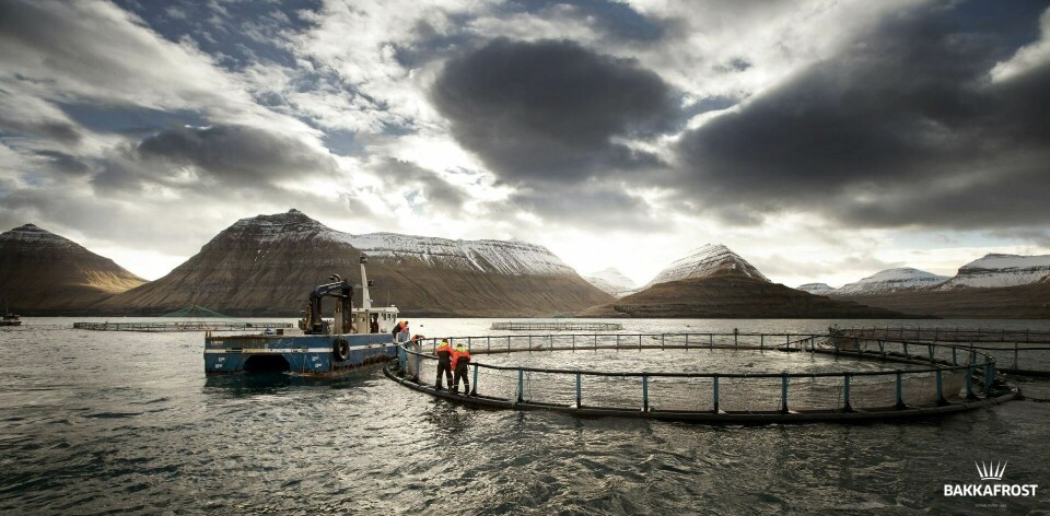 A Bakkafrost salmon farm in the Faroes. The company faces paying more tax if prices remain high.