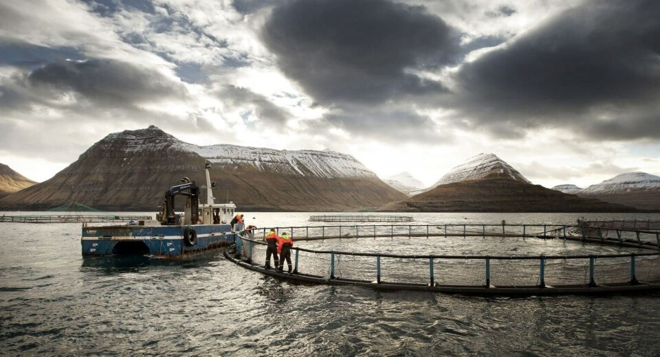 Archive photo of a Bakkafrost site in the Faroes. The group harvested 27,000 gwt of fish in Q3, a substantial improvement over the 20,840 gwt harvested in Q3 2023, when the Scottish operation faced stiff challenges.