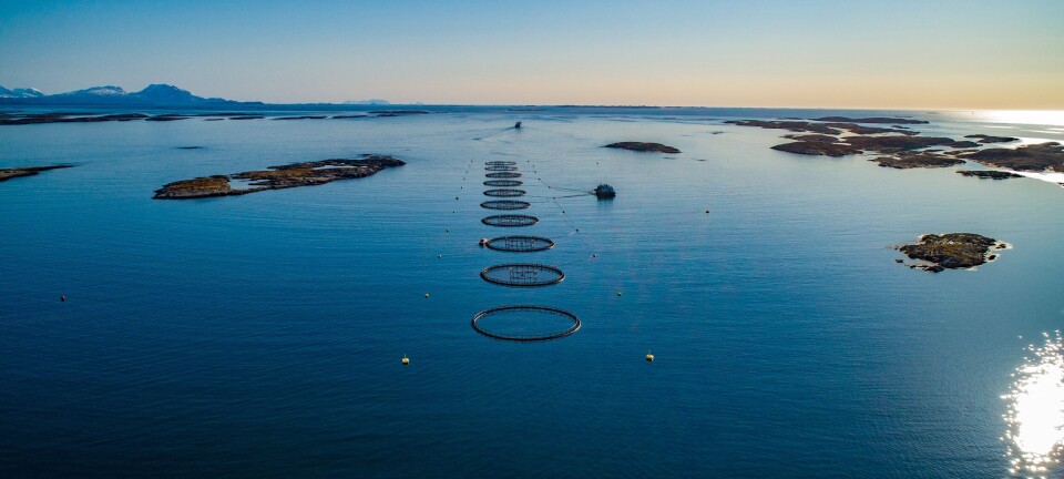 Lovundlaks looks to a future offshore