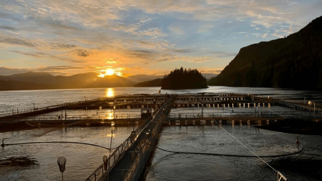 A salmon farm in the Discovery Islands.