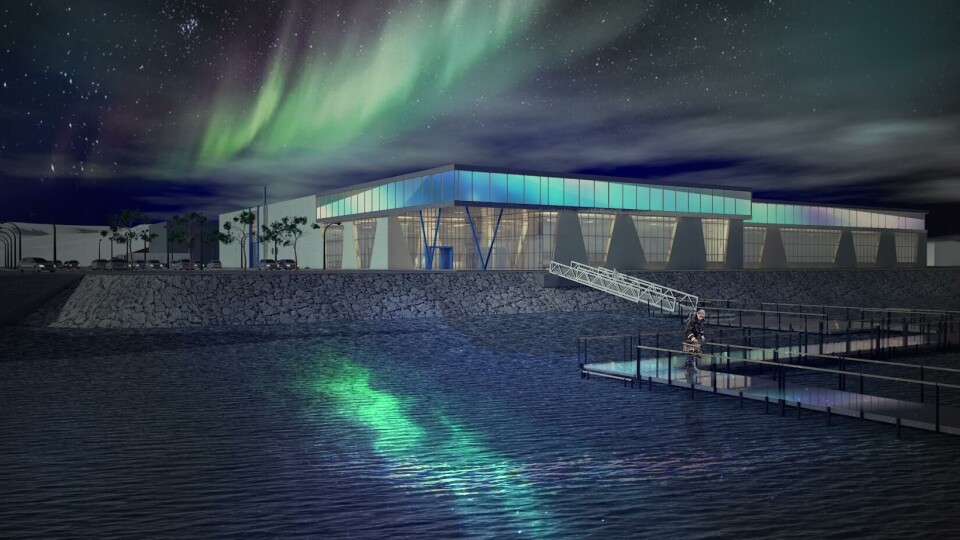 SalMar will invest £63m in a new slaughter and processing plant in northern Norway. Image: SalMar