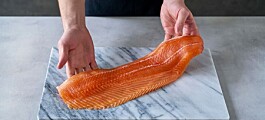 Salmon demand leads to record July for Norwegian seafood exports