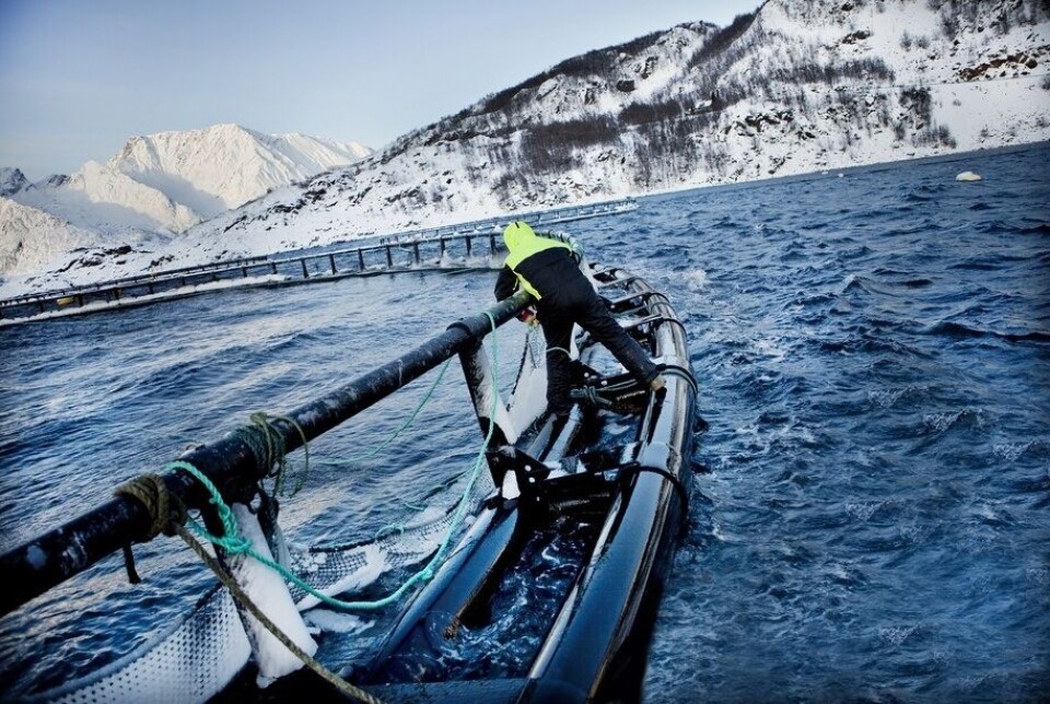 Grieg Seafood has agreed to sell its operations in Finnmark, northern Norway, to Cermaq, subject to the approval of competition authorities. Cermaq will also buy the company's Canadian assets and North American sales organisation.