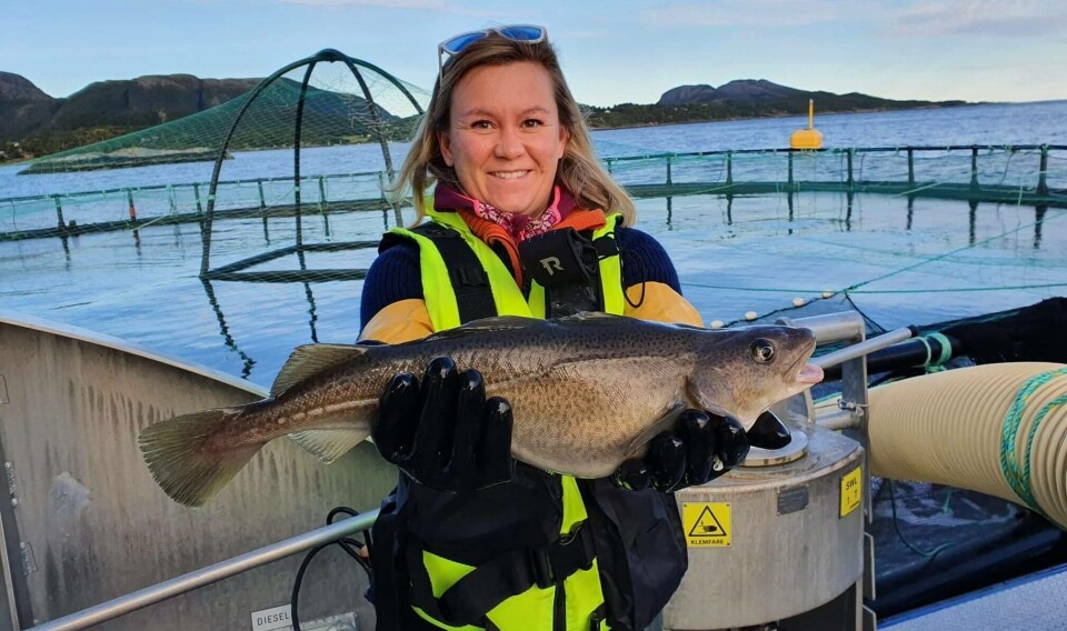 Norcod Cod farmer raises £14.8m from share issue