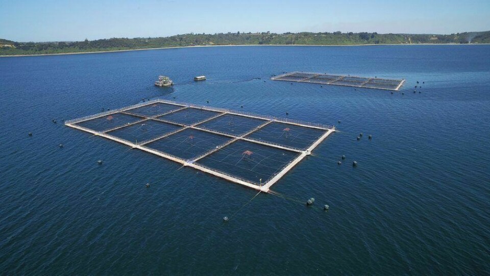 An AquaChile salmon farm. The company has reported a recovery in demand in key markets after a slump in January and February.