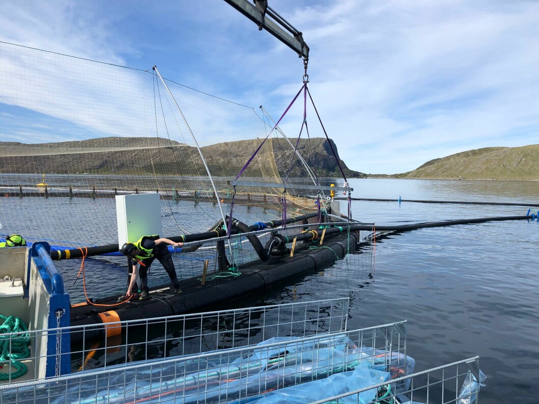A site with the Harbor Fence, which creates an electromagnetic field to stop lice larvae attaching to fish. Photo: Harbor. A site with the Harbor Fence, which creates an electromagnetic field to stop lice larvae attaching to fish. Photo: Harbor.